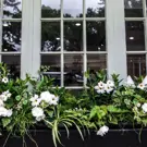 Window with flowers in Durham Region, Ontario 