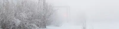 Cold weather landscape