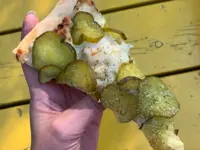 pickles.jpg