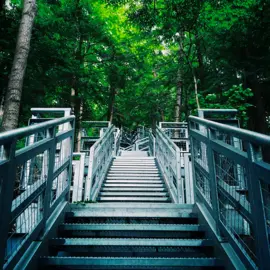Trails---Explore--Engage---Durham-Tourism.png
